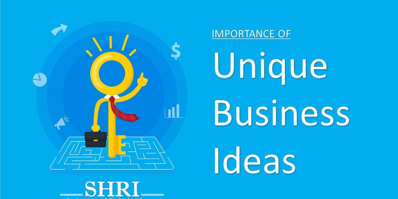 Importance of unique business ideas IT Solutions Provider In Delhi