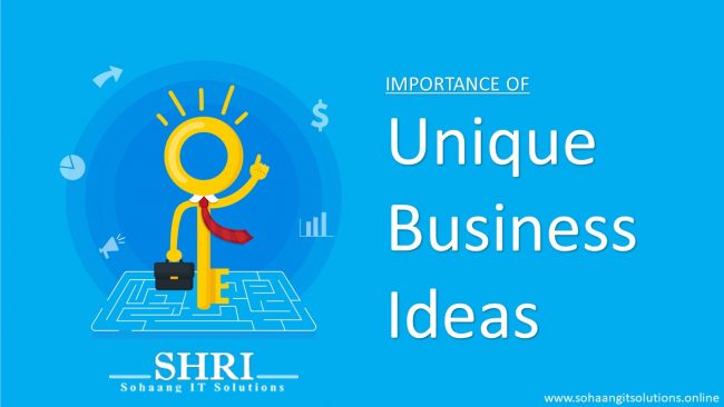 Importance of unique business ideas IT Solutions Provider In Delhi