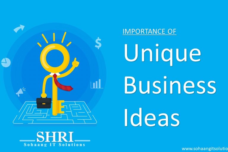 Importance of unique business ideas IT Solutions Provider In Delhi